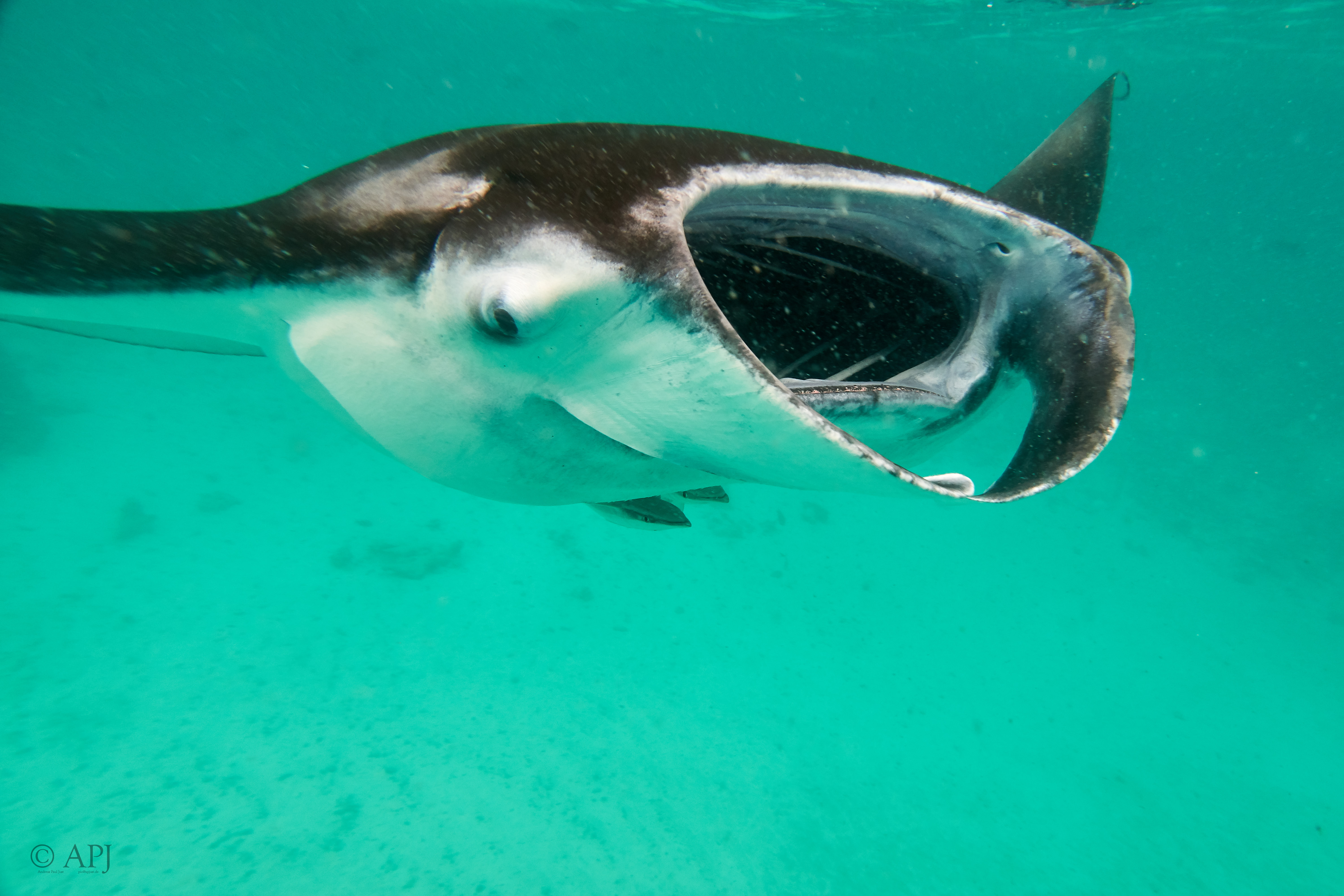 002924 17 08 17  Canon PowerShot G7 X Mark II   Malediven2017